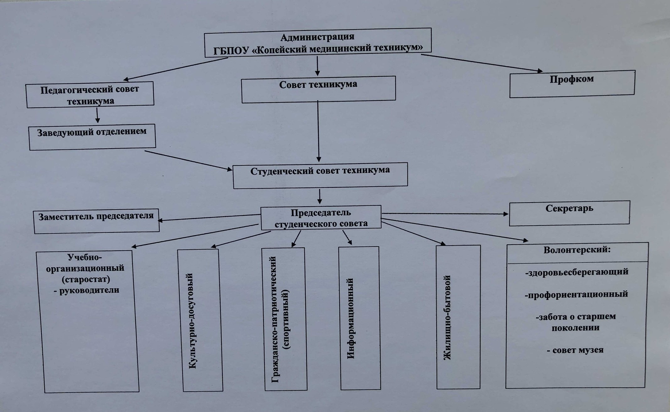 Как проходят в органы самоуправления в колледже. Схема студенческого самоуправления. Одна из сфер деятельности органов студенческого самоуправления.. Структура студенческого самоуправления сектор. Функции студенческого самоуправления.